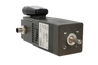 Networking capabilities for brushless DC motors